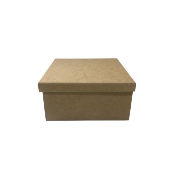 Caixa Sapato 20 x 20 x 10