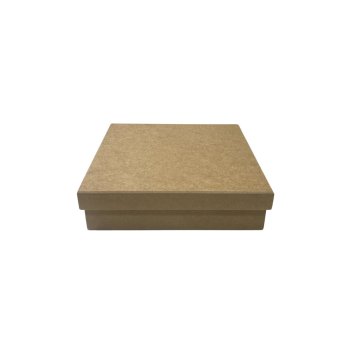 Caixa Sapato 20 x 20 x 05